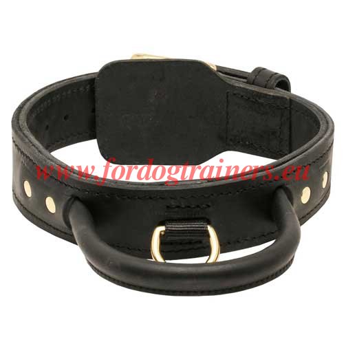 Collier avec poigne pour chien cuir noir