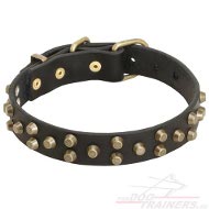 Fantastic Leather Dog Collar with Studs ➧