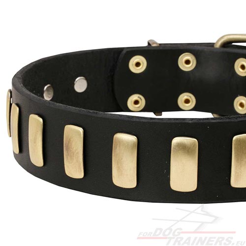 Comfortable Dog Collar Stylish for Amstaff