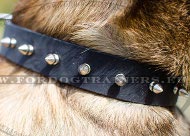 Brede Halsband met Spikes van Leer voor Mechelaar