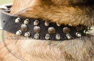 Leather Dog Collar with Spikes and Studs