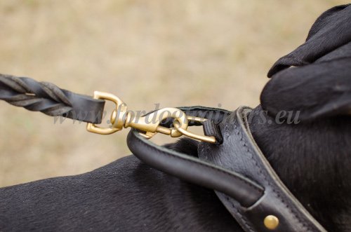 Collier pour chien de guarde avec poigne