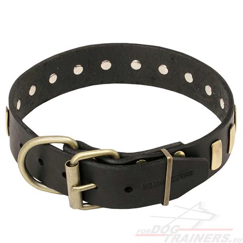 Collier en cuir pour Amstaff Promenades et Formation