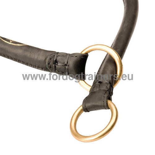 Collier rÃ©sistant avec effet Ã©trangleur pour
Malinois