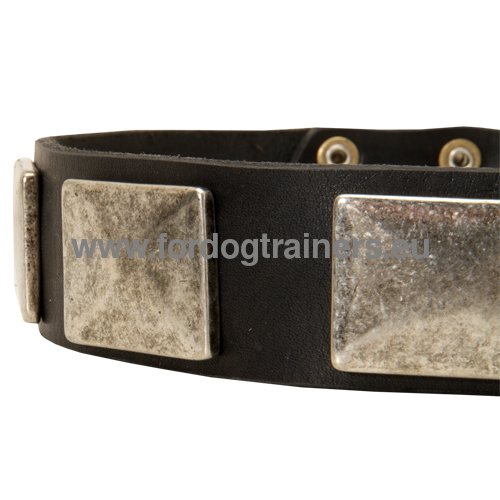 Elegant hand decorated leather collar for Pitbull