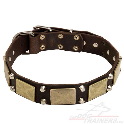 Collier en cuir marron décoré pour chien