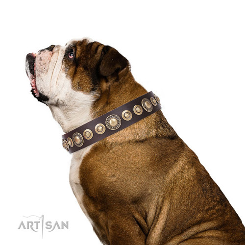 Luxurous Leather Collar for Small Dog