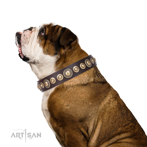 Collier pour chien fait main en cuir clout