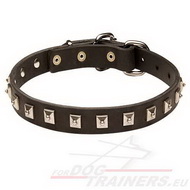 Studded Dog Collar Black Leather ◆