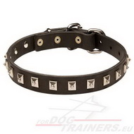 "Caterpillar" 1 Rij Nikkel Knoppen Halsband | 25 mm Breed [C26##1057 Collare in pelle con borchie quadrate per cane]