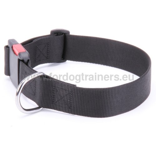 Collier universel pour chien