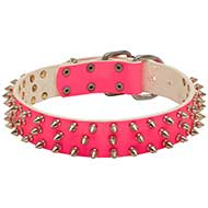 Pink Dog Collar with Spikes Pink
Leather Dog Collar