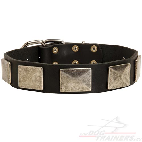 Collier en cuir pour chien Décor Massif