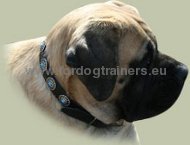 Leather Dog Collar with Blue Stones for Bullmastiff ✿