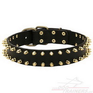 Leather Collar Wide | Spiked Dog Collar ✔ [S32##1057 Collare in pelle con borchie a punta per cane]