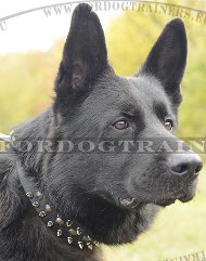 Leather Dog Collar with Spikes and Studs