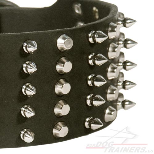 Collier fait main pour chien
