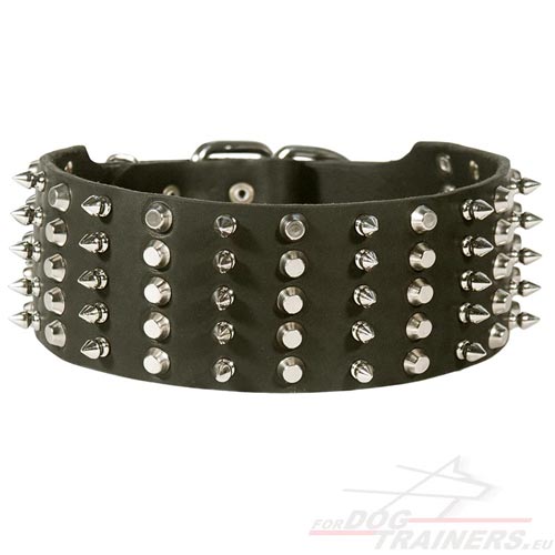 Collier solide en cuir et acier nickelé pour chien