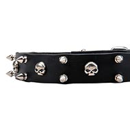 Collare con borchie a teschio per cane Collare con borchie a teschio per cane