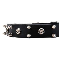 Leather Collar with Nickel Plated Skulls