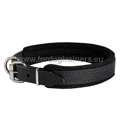 Attack&Obedience Training Dog Collar