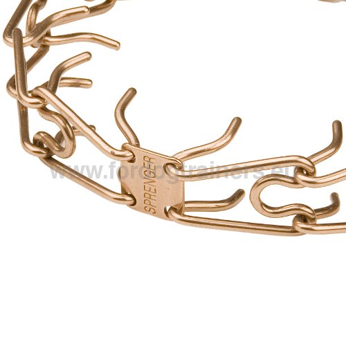 Collier Torquatus pour Mâtin napolitain