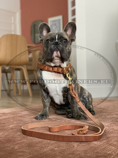 Collier tress chien petite taille bouledogue franais