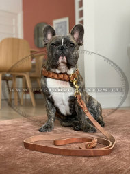 Collier pour chien en cuir tress trangleur ᐓ