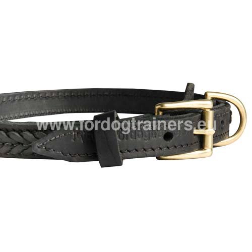 High quality solid fittings of the collar