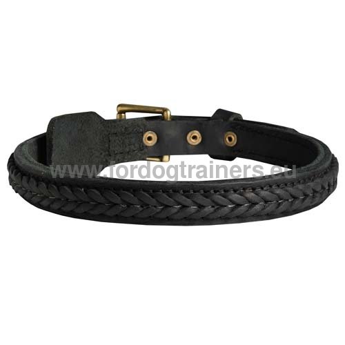 Black leather braided dog collar