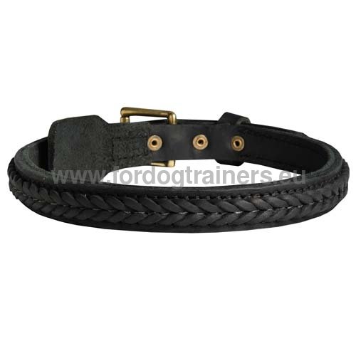 Collier en cuir noir avec tresse pour chien de Berger