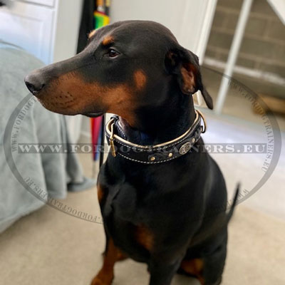 Collier en cuir pour doberman de luxe dcor de tresses