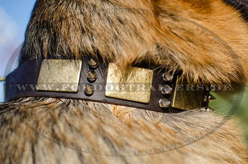 Get a closer view of the combined decorations of the Leather Collar for German Shepherd
