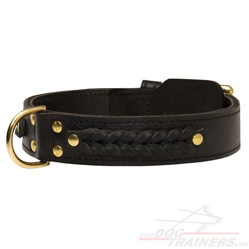 Collier en cuir noir pour chien