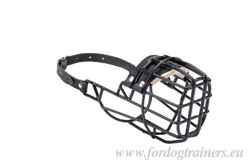 Malinois Rubbered Wire Muzzle