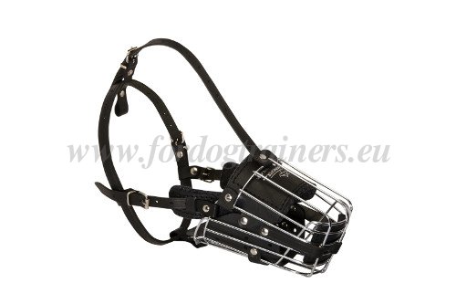 Basket
Muzzle for Dog