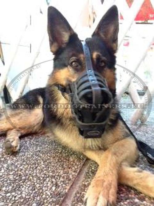 Training Muzzle for Military and Service Dog
