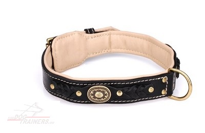 Dog Luxury Collar with Light Nappa