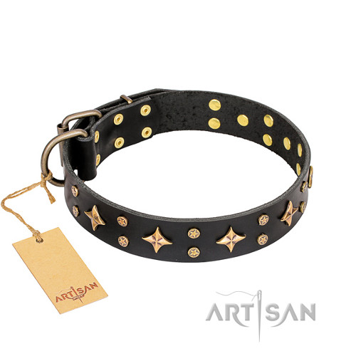 Lederen Honden Halsband met Messing
Versieringen