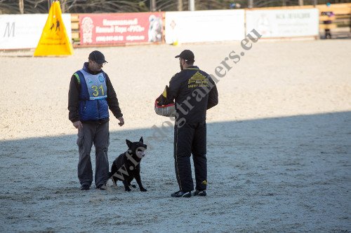 Costume, manchette de protection avec fourreau pour
entranement du chien