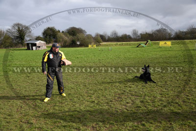 Costume pour entrainement chien  broderie fait main