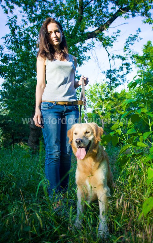 Matriel pour Retriever