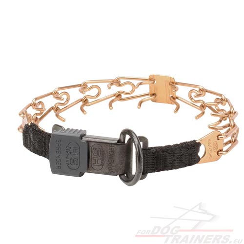 Pinch Collar for Dog with Quick Lock Buckle