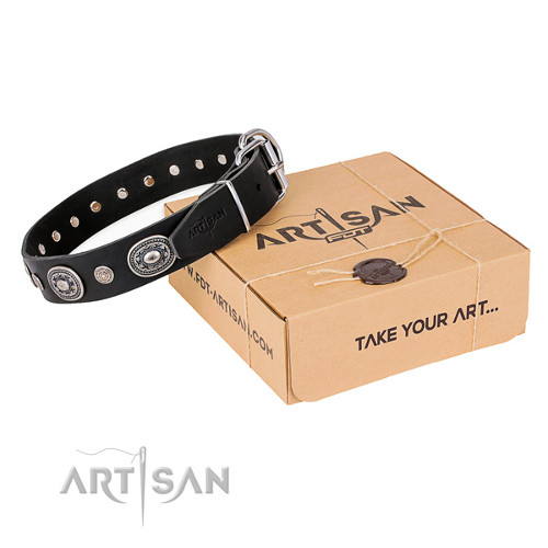 Wide Leather Dog Collars for Large Dog