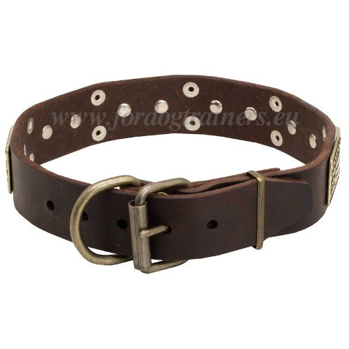 Leather Collar for Dogs