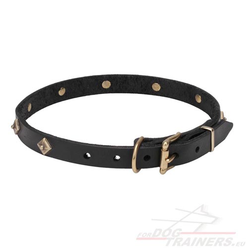 Studded Dog Collar with Riveted Parts