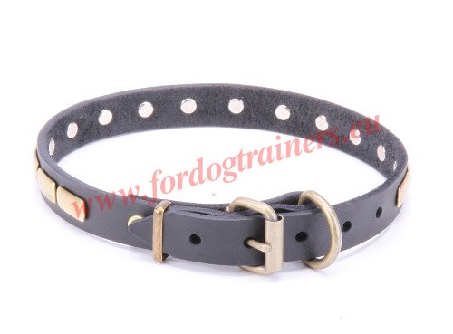 Handmade Dog Collar