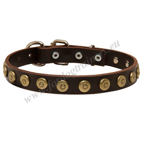 Designer Leather Dog Collar