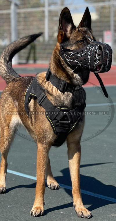 Leather Muzzle for Large Dogs Training