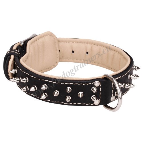 Spiked Dog Collar